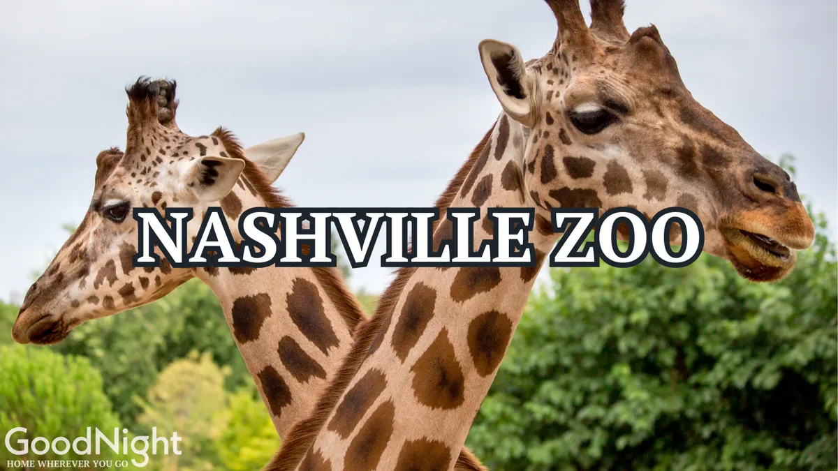 A close-up of two giraffes set against a lush green backdrop, capturing the excitement of animal encounters at the zoo. The atmosphere is bright and joyful, evoking the delight of children and families exploring together.